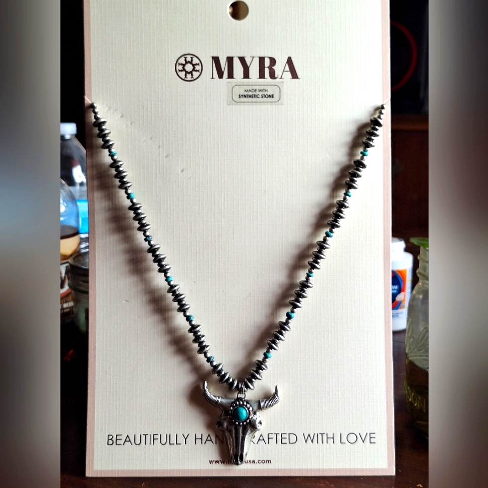 Myra Bag Silver And Turquoise Necklace